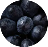 Grape Seed